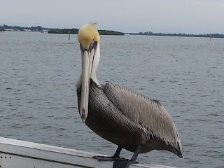 52d4d-20130122_133521