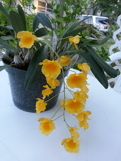 7d65a-20130514_194517