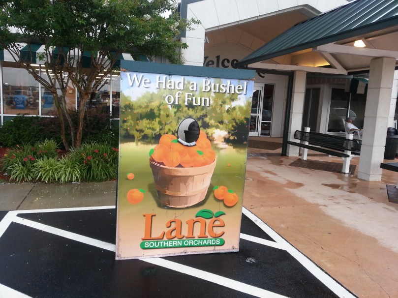 I'm giving them a prize for having the neatest, cleanest, prettiest place around... just sayin'. 