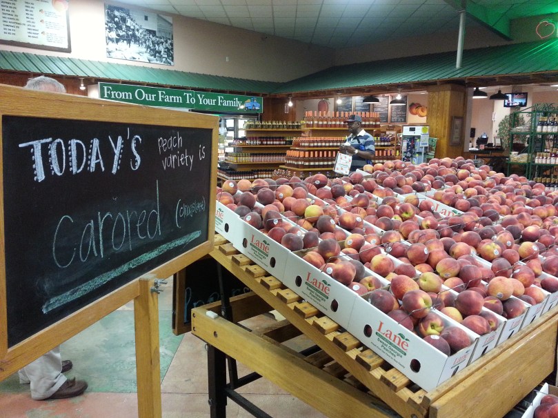 This is a variety called Carored and they are perfect looking peaches!