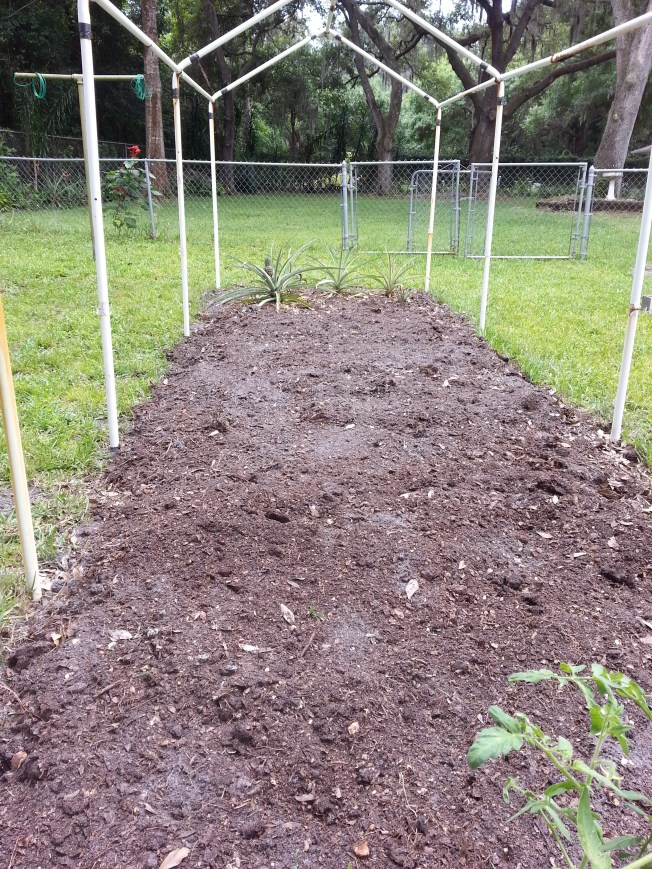 New, rich soil layer on this bed.