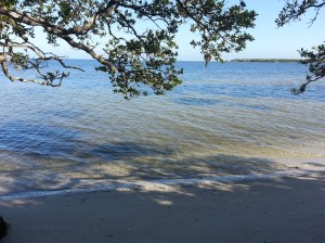 Nature walk with my friends Arlette and God.