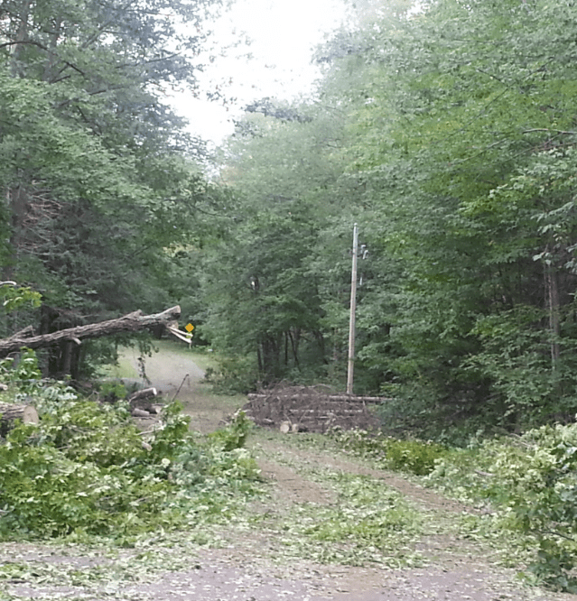 Many roads obstructed with fallen trees and utility poles.