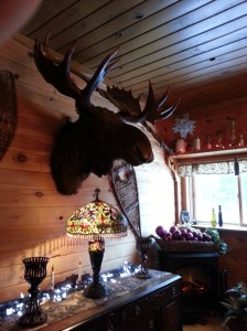 I put this first just to get your attention.  Read to the end for the story.