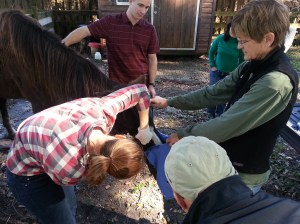 working the large bore needle into the sinus to drain and irrigate