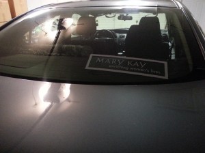 (Order Mary Kay from me in 2015 and help fund a vet truck for a struggling horse doctor ... just sayin'.)