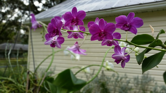 just look at their cute faces...