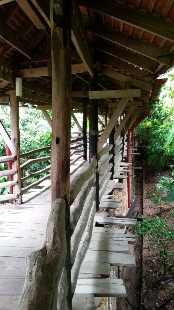 An elevated walkway through the jungle