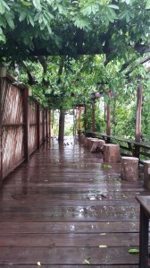 leading to Secret Restaurant