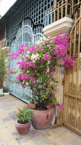 Make it beautiful if you can...