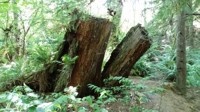 And then there are the fallen.