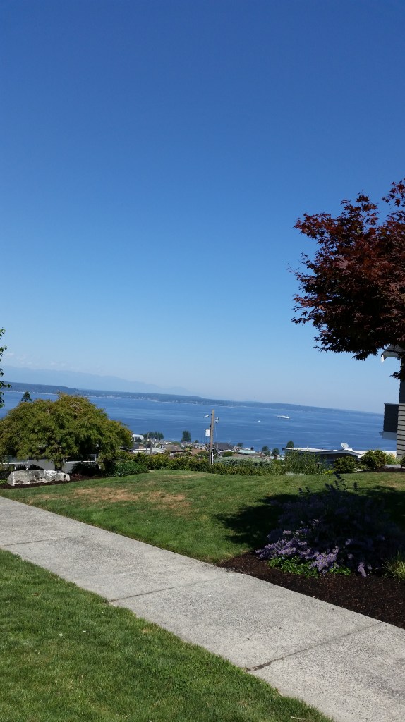 And emerges here... outside the forest in a residential neighborhood clinging to the side of a ridge. 