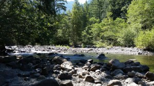 Along the river trail...