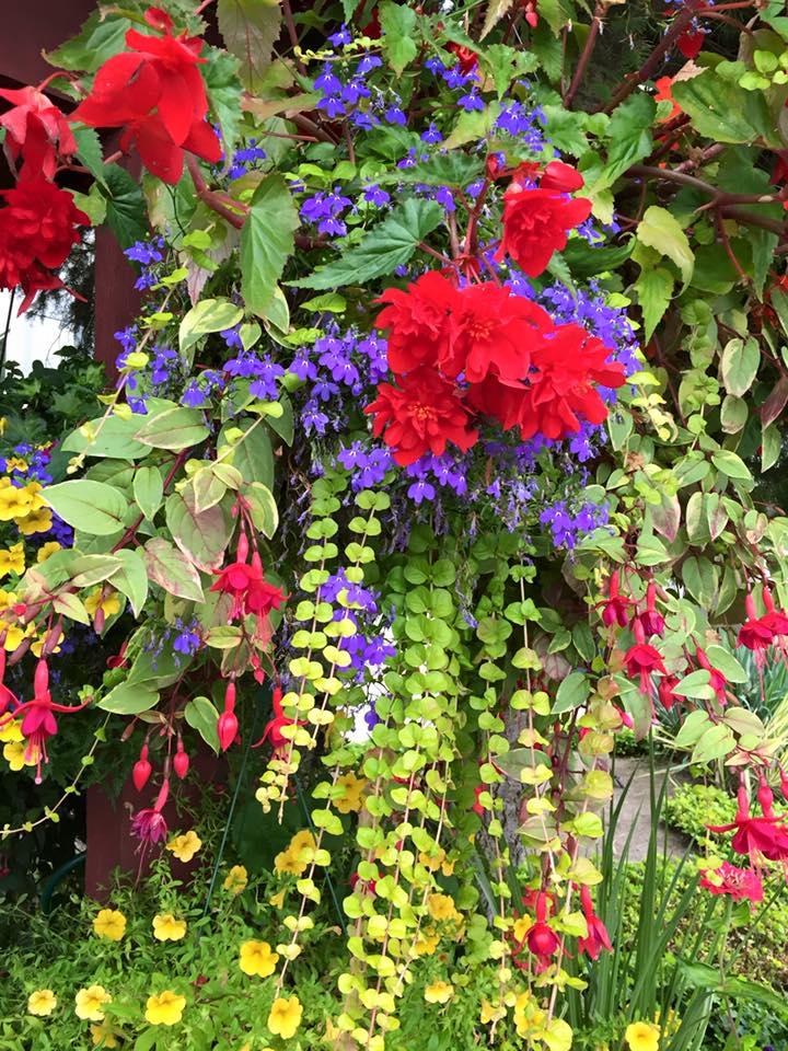 Facebook-20150712-090649