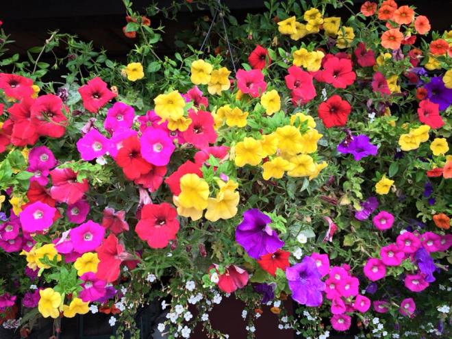 Facebook-20150712-090713