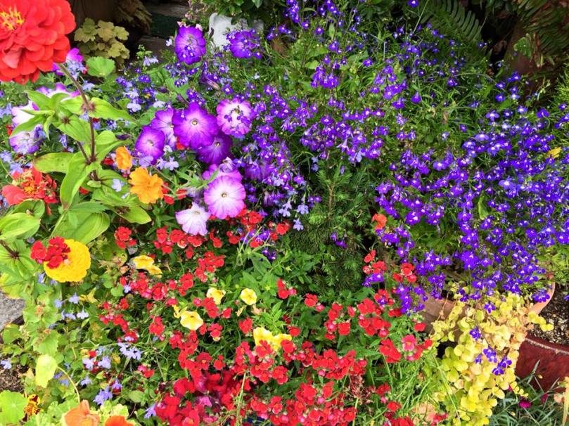 Facebook-20150712-090743