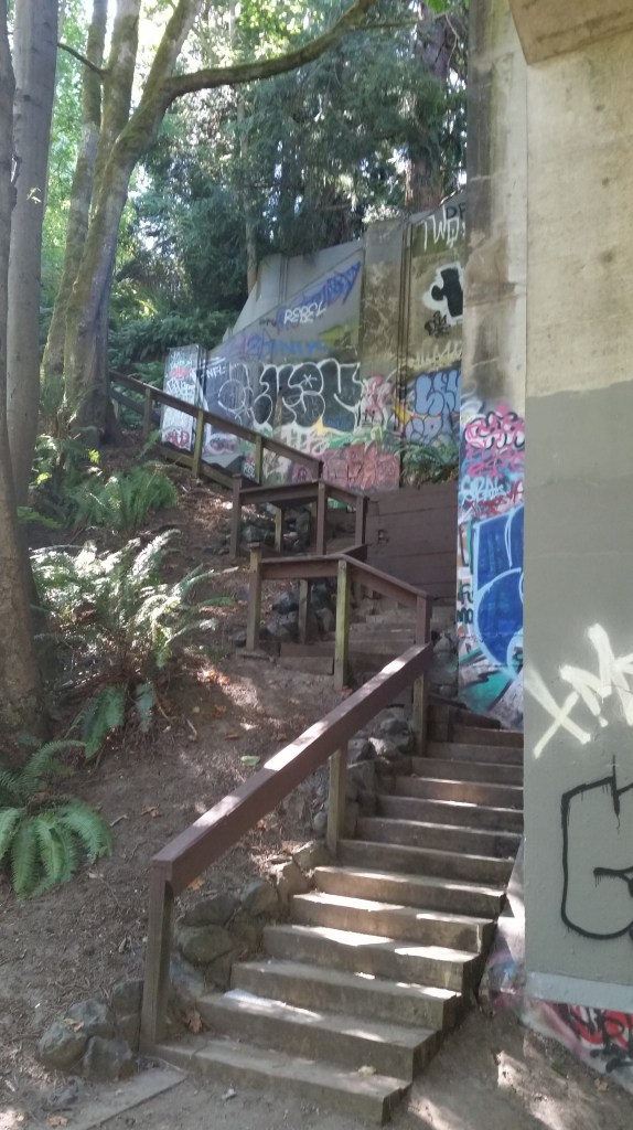 from Schmitz Park up to Admiral Street, 80 steps