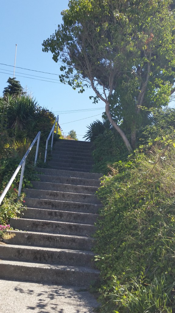 At the end of SW Stevens to the plateau on the top.