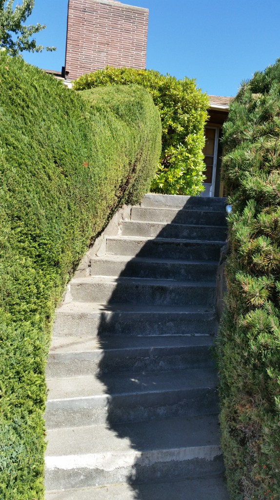 Nicely groomed staircase to someone's house
