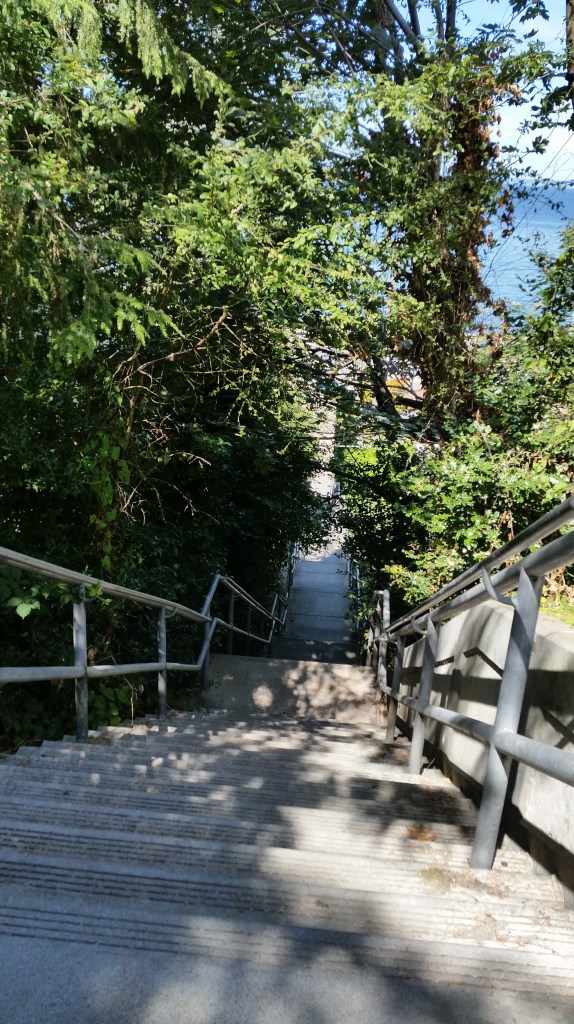 This lovely flight contains 167 steps