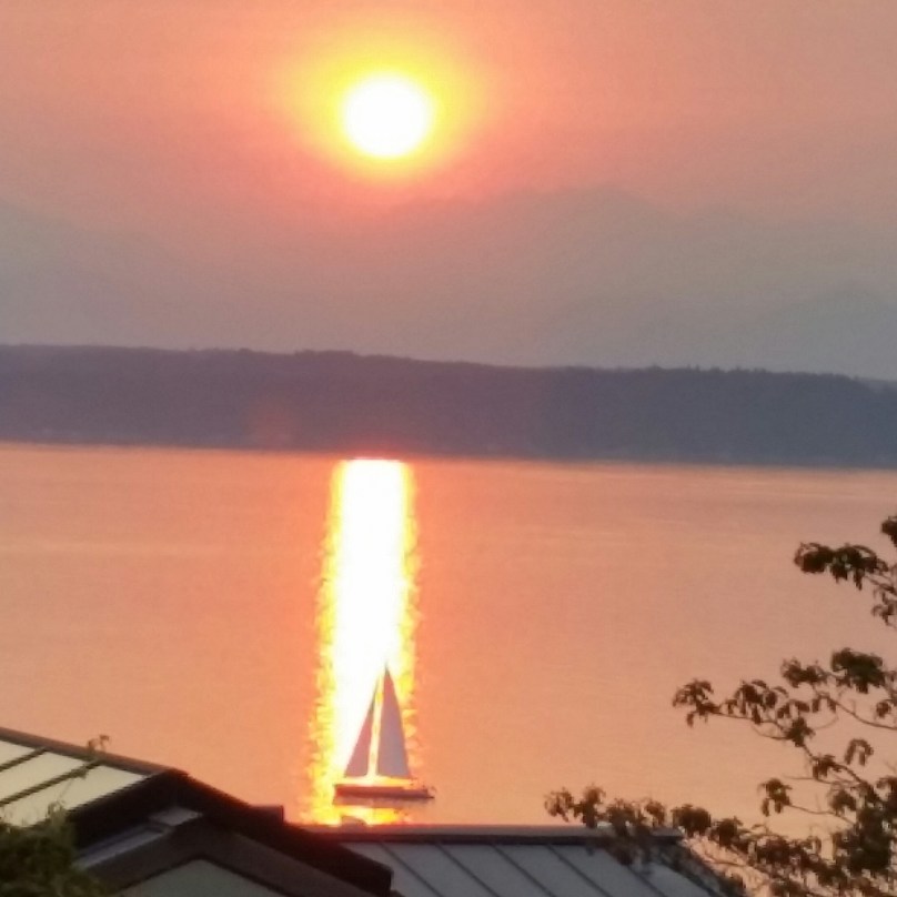 Do you like this picture? Do you think it represents a special moment?