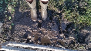 Take off muddy boots