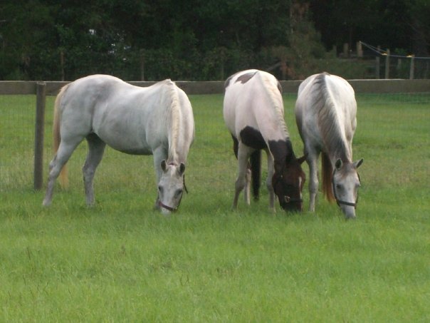 Facebook-20160517-035649