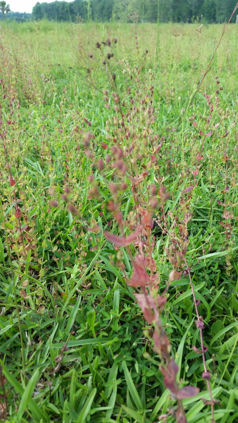 20160613_165700.jpg image