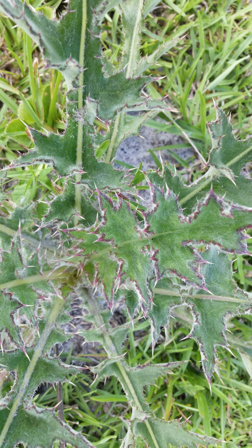 20160613_165854.jpg image