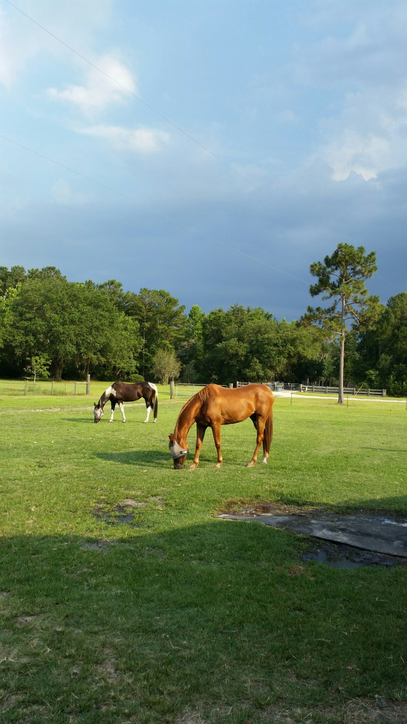 20160613_180053.jpg image