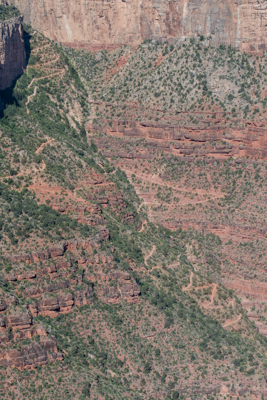 portion of Bright Angel Trail, Grand Canyon
