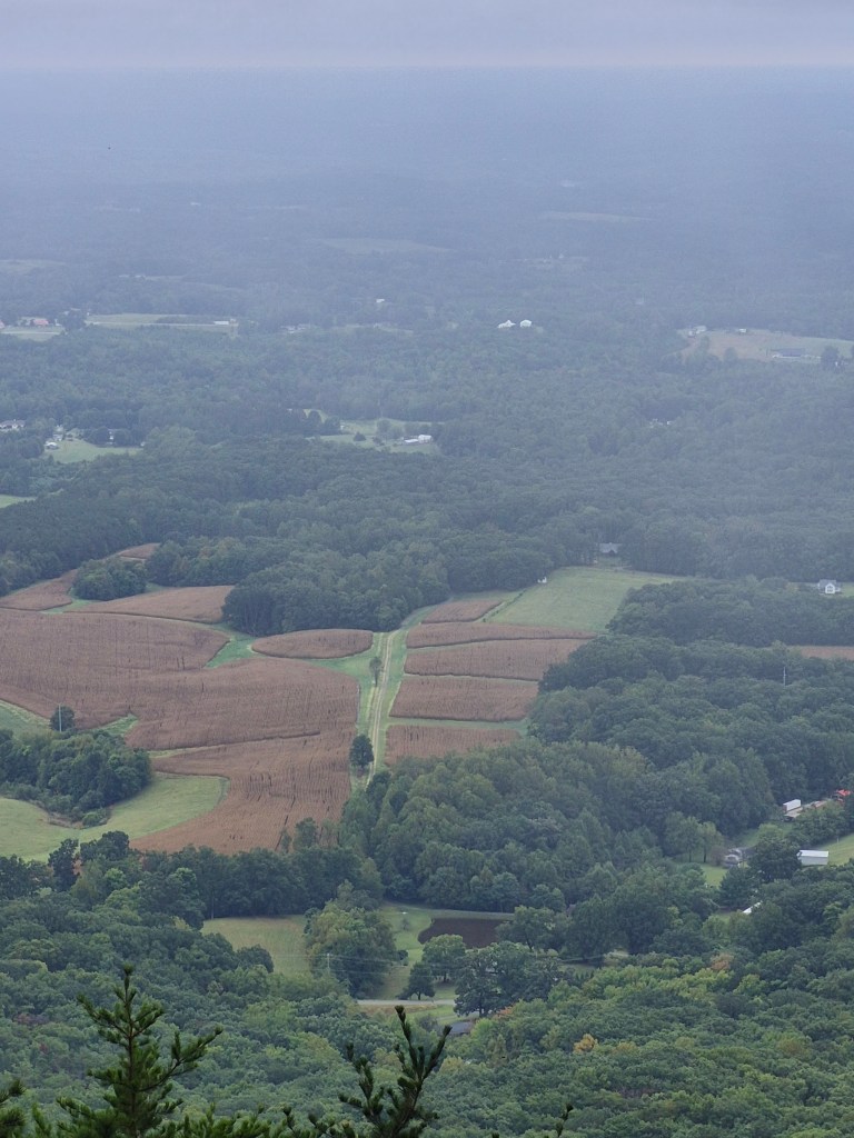 Aerial view of a lush green landscape with fields and wooded areas, featuring a winding road through the fields in a rural setting.